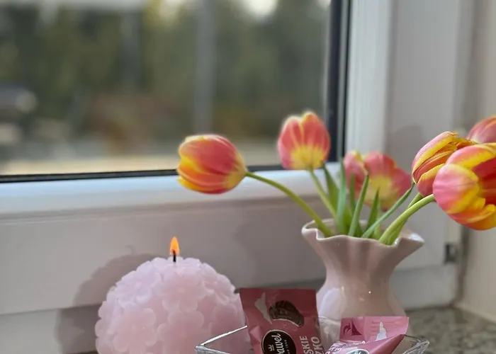 Natalii Guest house Kudowa Zdroj